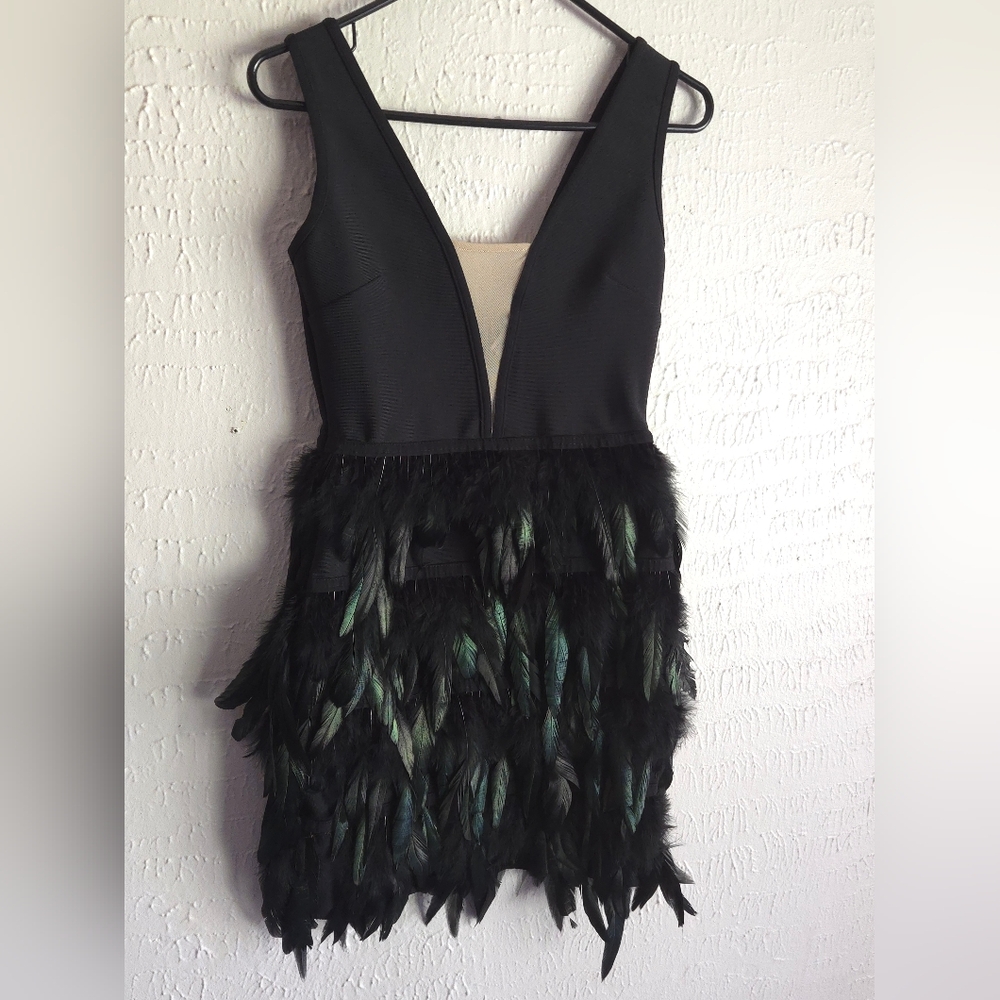 Fashion Nova Black Feathered Dress